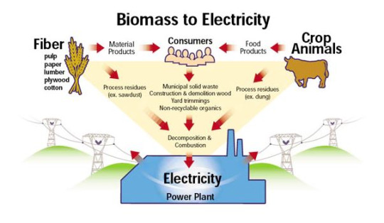 skema biomassa