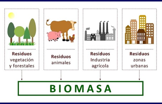 biomasa